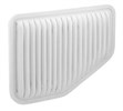 AIR FILTER - COMMODORE V8 2006>